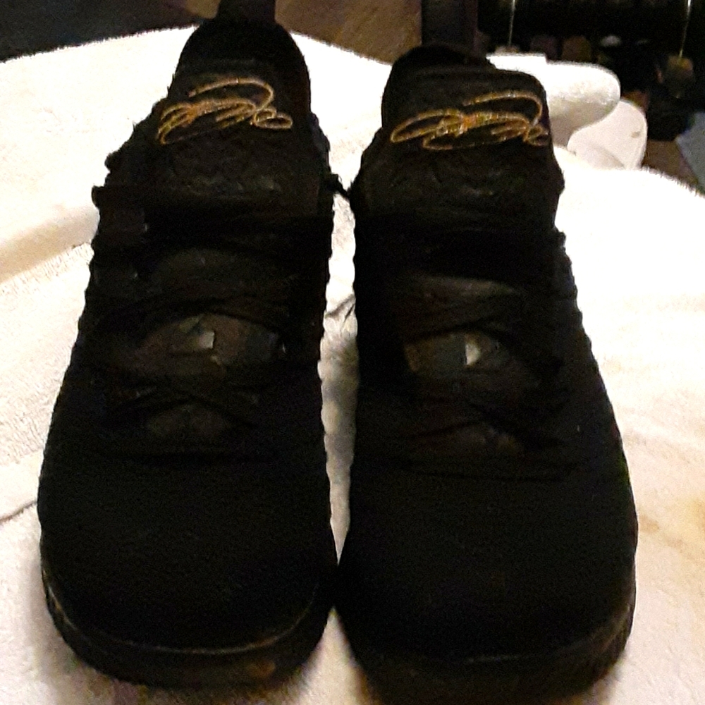 Nike lebron 15's